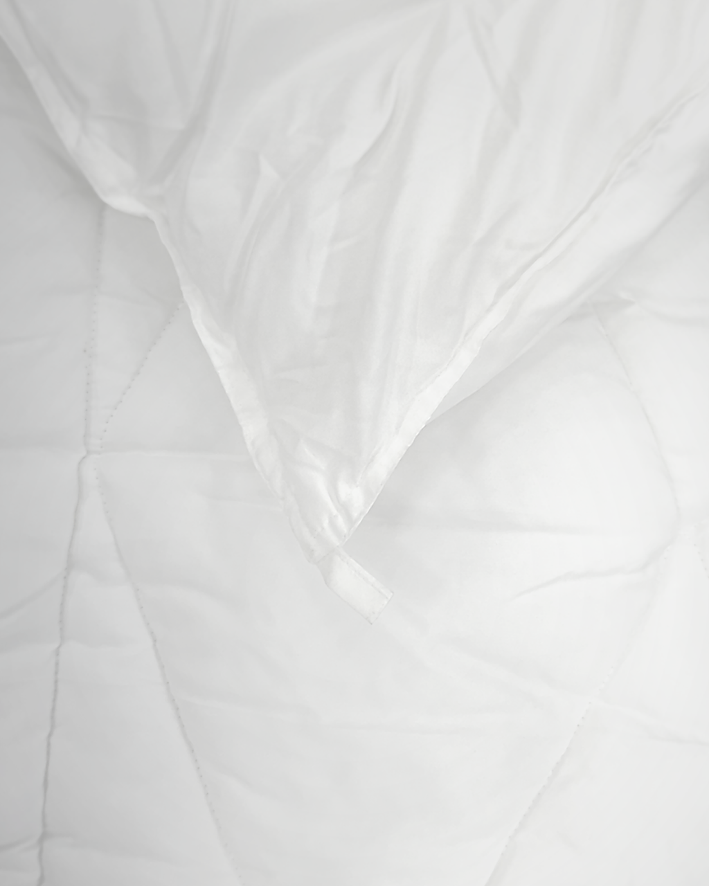 Cotton-Cased Duvet Insert